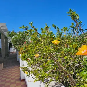 salinya-private-rooms-n125-olho.hotelaalgarve.com/